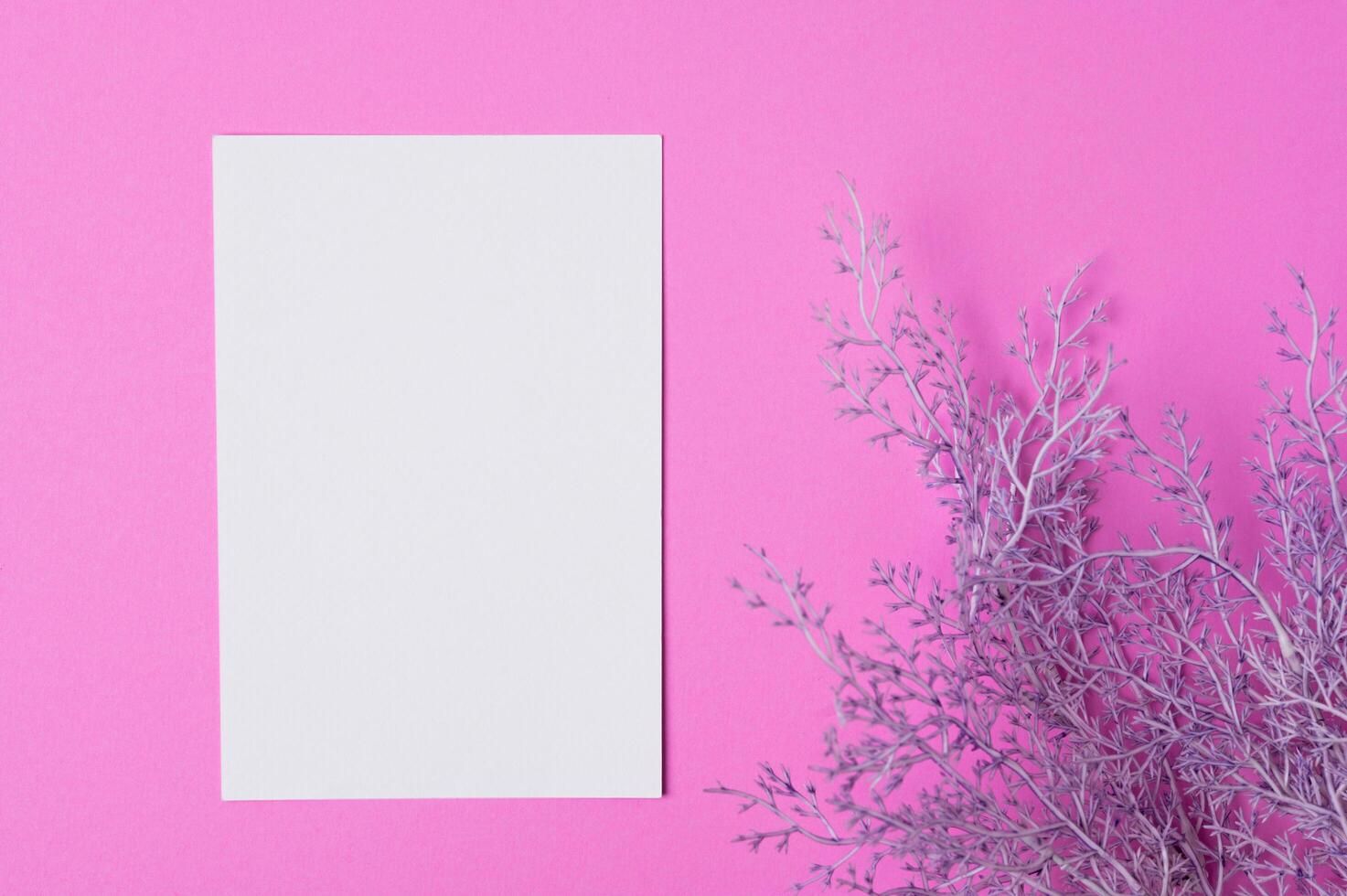 papel em branco com flores colocadas em um fundo rosa foto