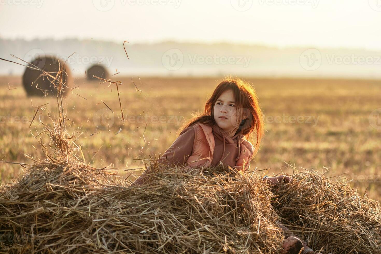 fofa Adolescência menina dentro campo com trigo recortes e palheiros. manhã, névoa foto