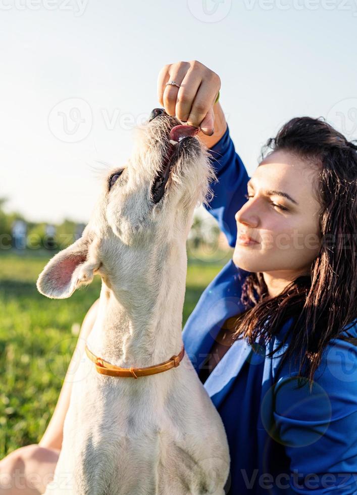 jovem mulher atraente alimentando seu cachorro no parque foto