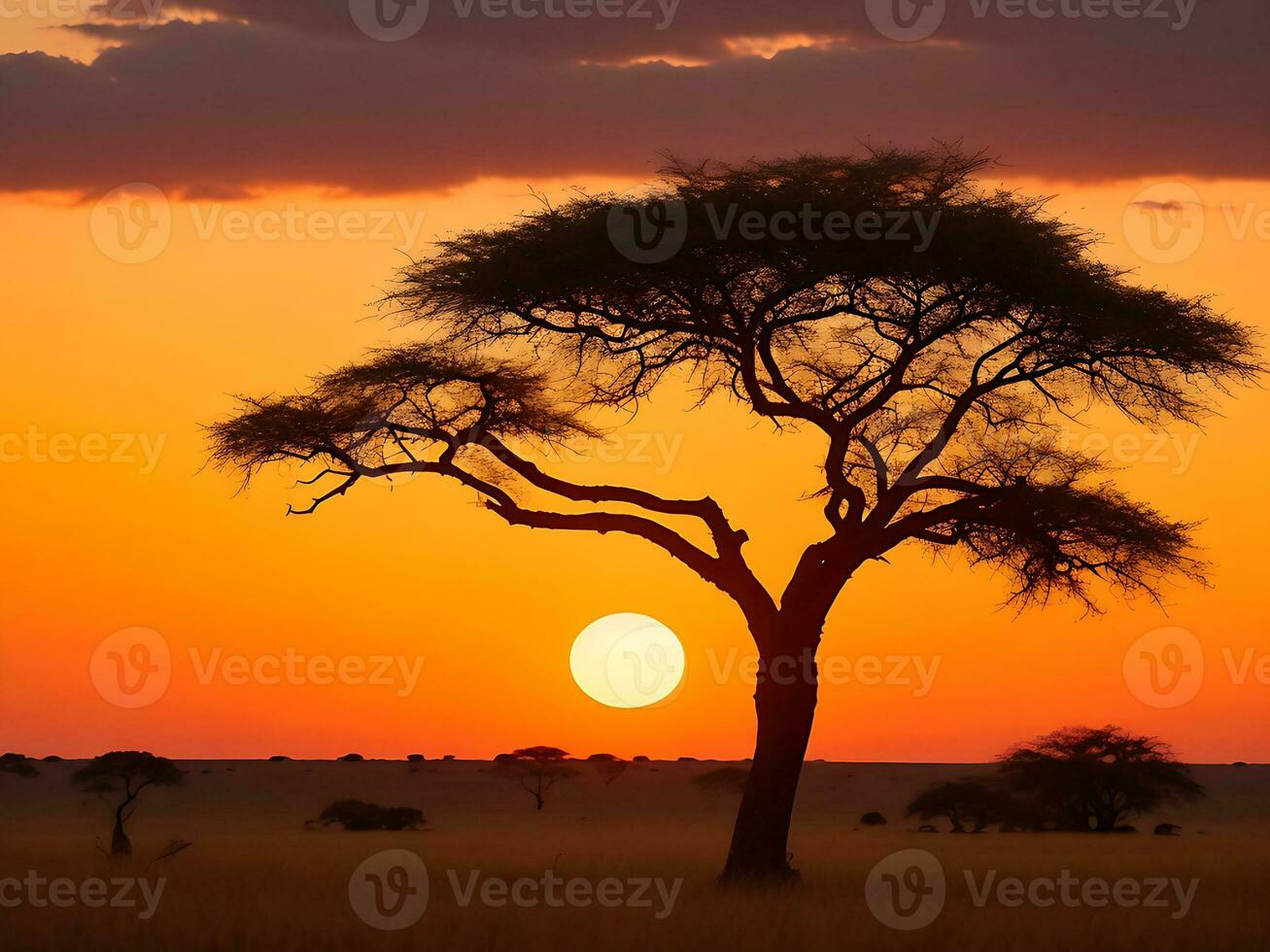 hipnotizante Visão do a silhueta do uma árvore dentro a savana planícies durante pôr do sol generativo ai foto