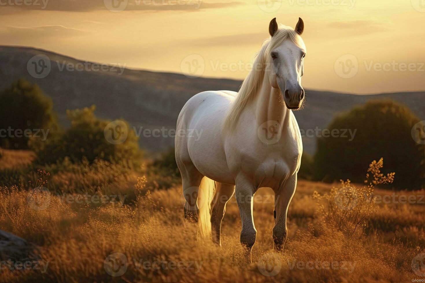 branco cavalo ou égua dentro a montanhas às pôr do sol. ai gerado foto