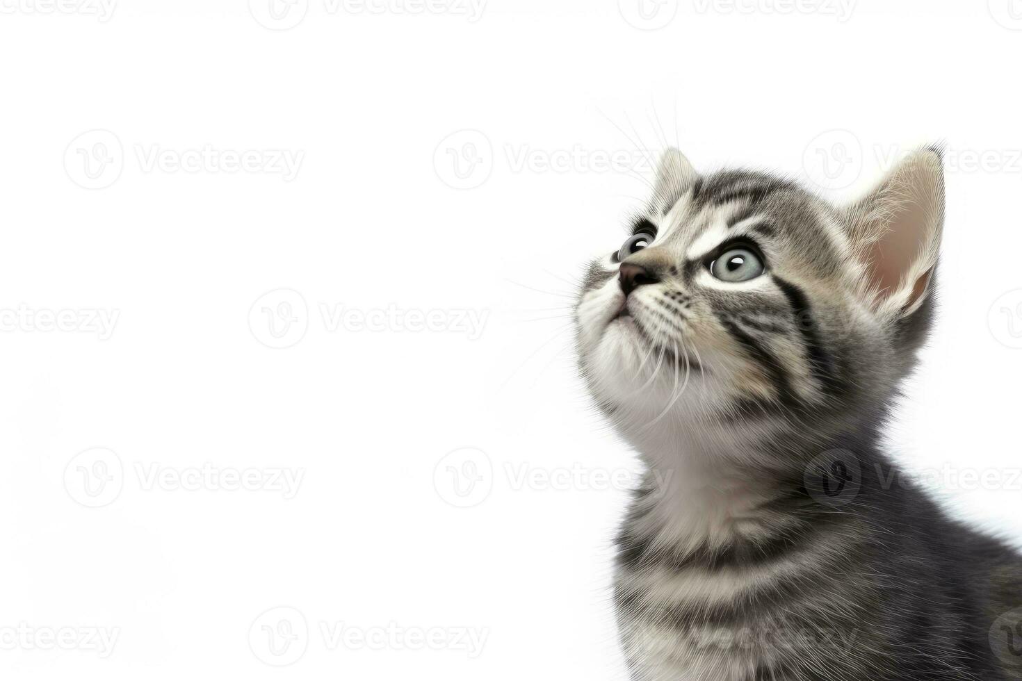 brincalhão engraçado gatinho olhando acima isolado em uma branco fundo. ai gerado foto