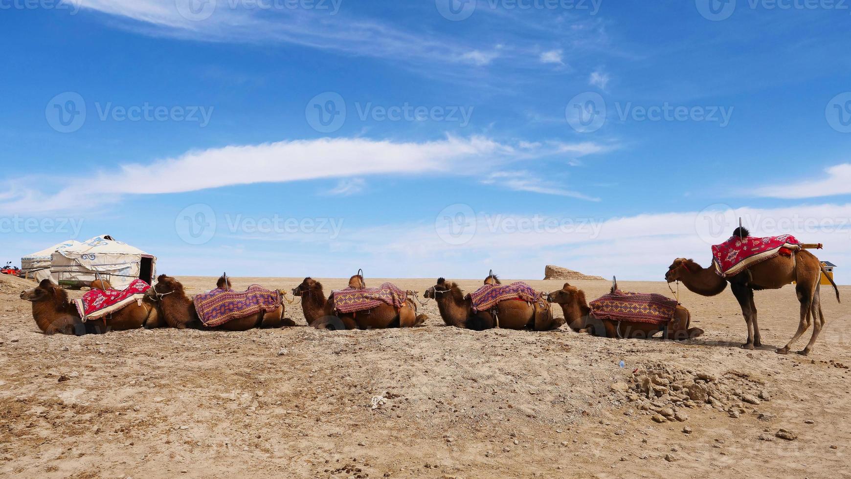 parque geológico dachaidan wusute water yadan e camelo qinghai china foto