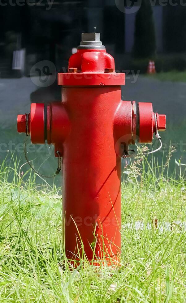 vermelho fogo Hidrante dentro uma Prado foto