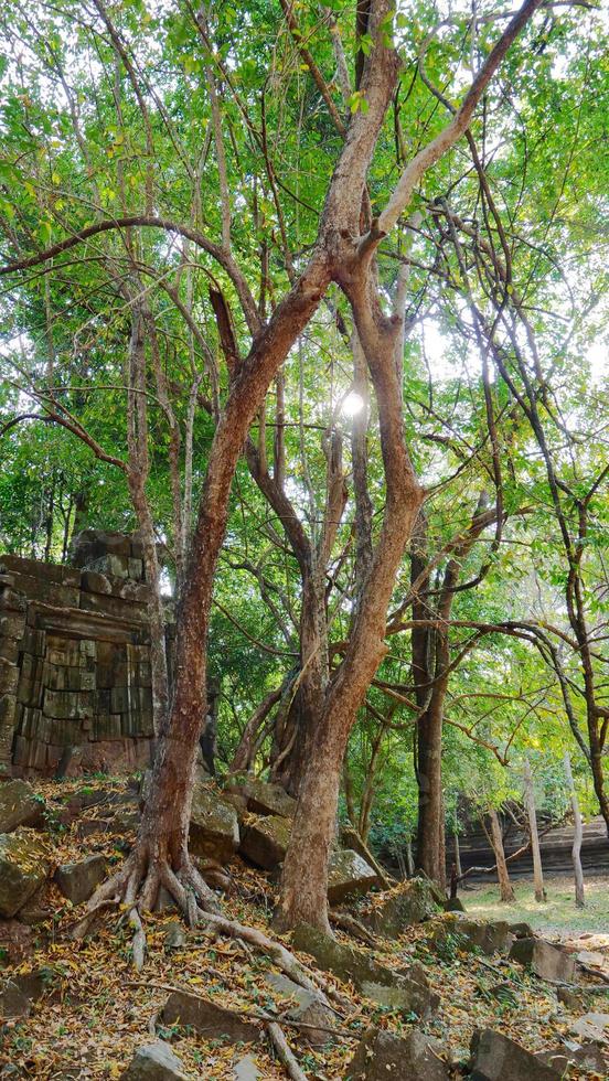 Beng Meal e ruínas de um templo antigo em Sieam Ream, Camboja foto