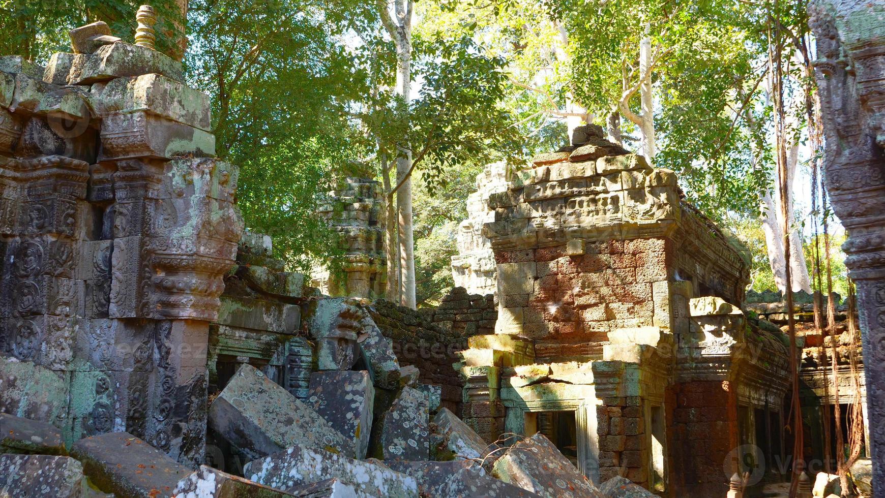 ta prohm temple em angkor wat complex, siem reap cambodia. foto