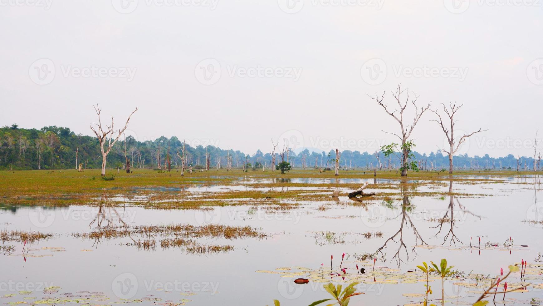 lagoa do lago em neak poan, no complexo de angkor wat, siem reap cambodia. foto
