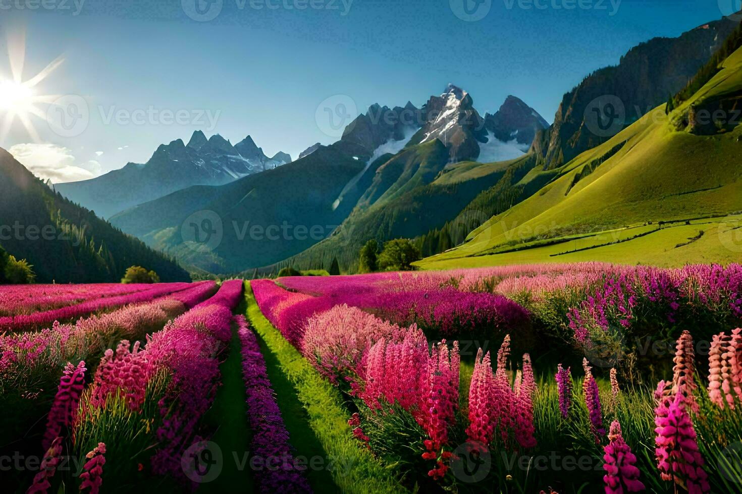 uma campo do roxa flores e montanhas dentro a fundo. gerado por IA foto