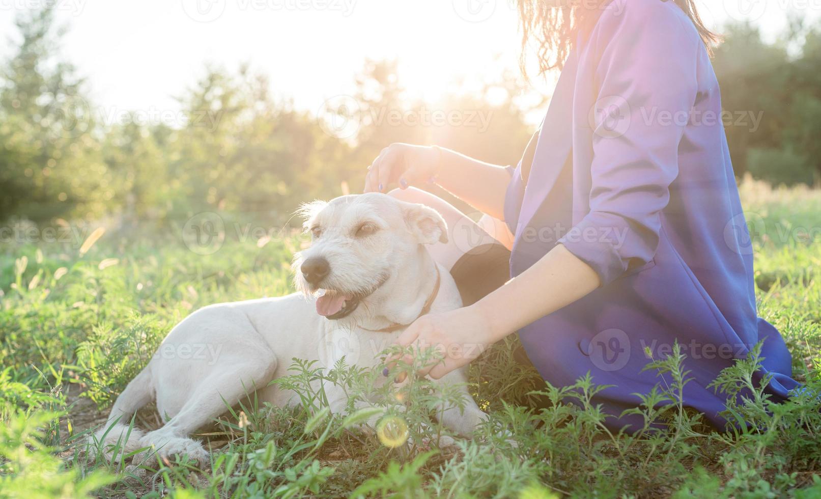 jovem mulher atraente abraçando seu cachorro no parque ao pôr do sol foto