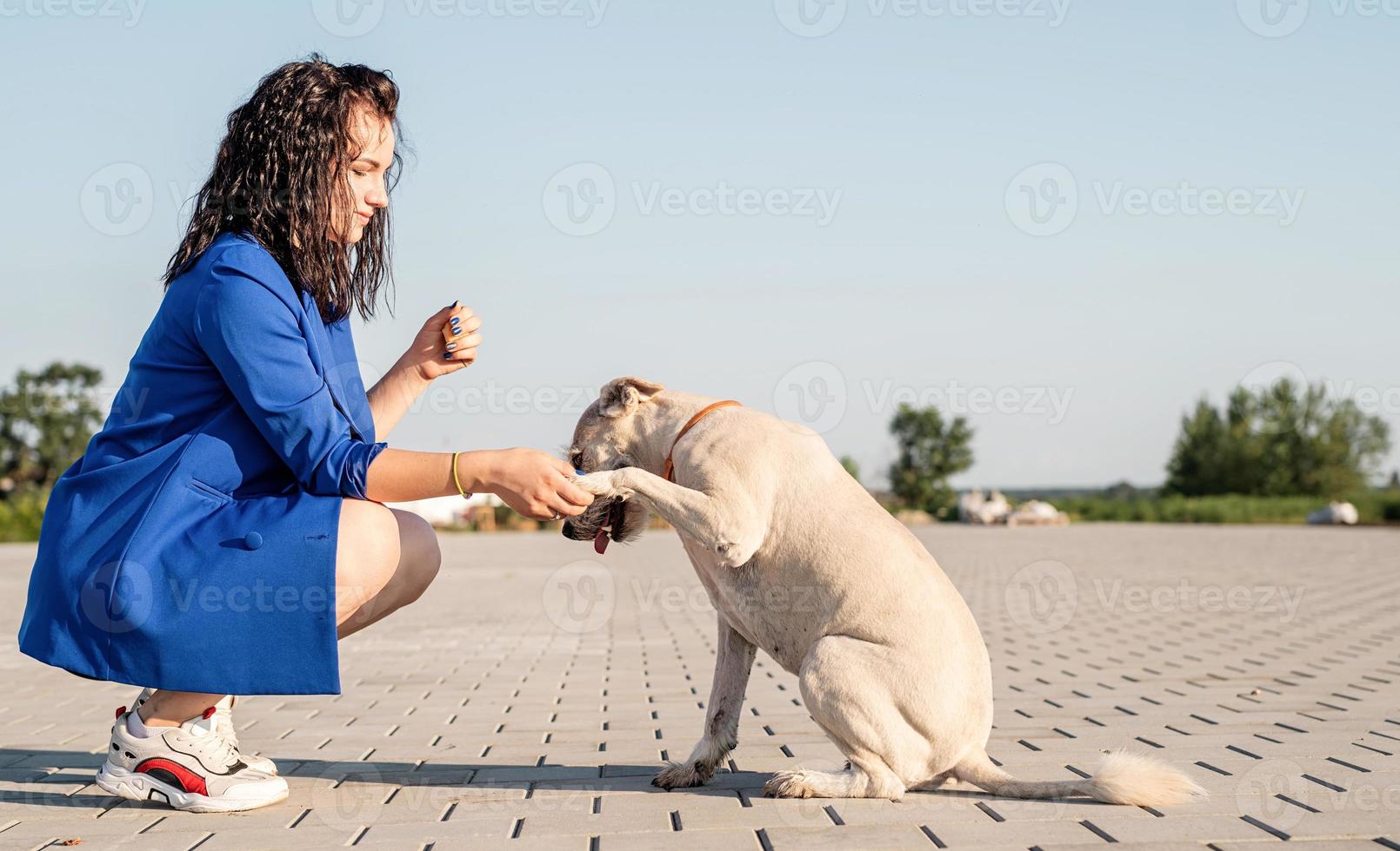 jovem mulher atraente brincando com seu cachorro no parque foto