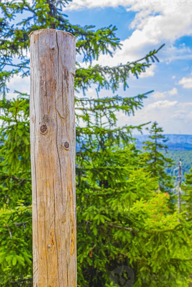 floresta com estaca de madeira em brocken mountain harz alemanha. foto