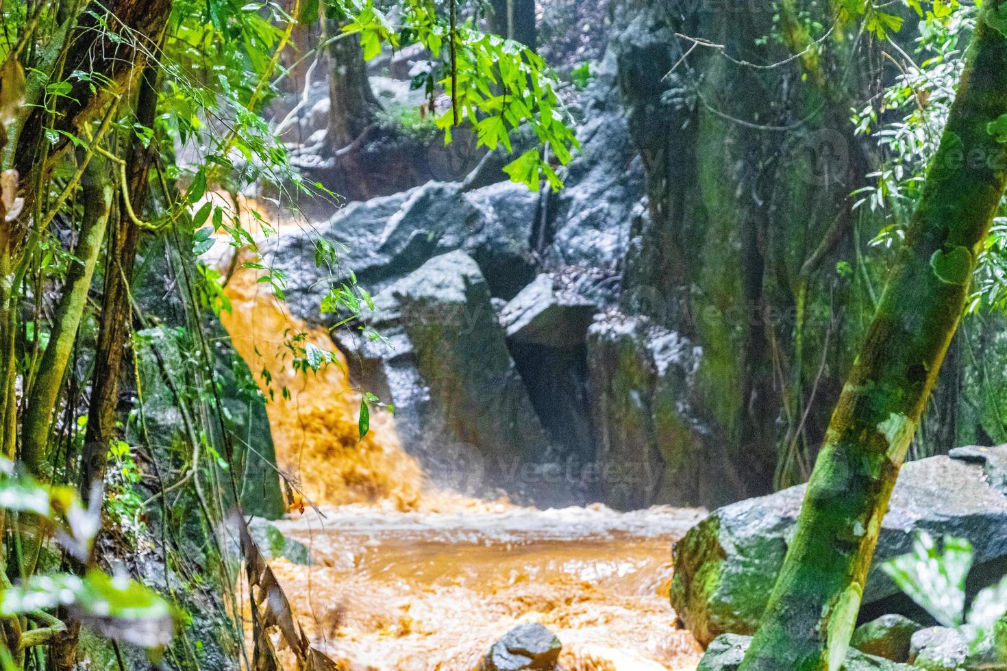 cachoeira wang sao thong na floresta tropical koh samui tailândia. foto