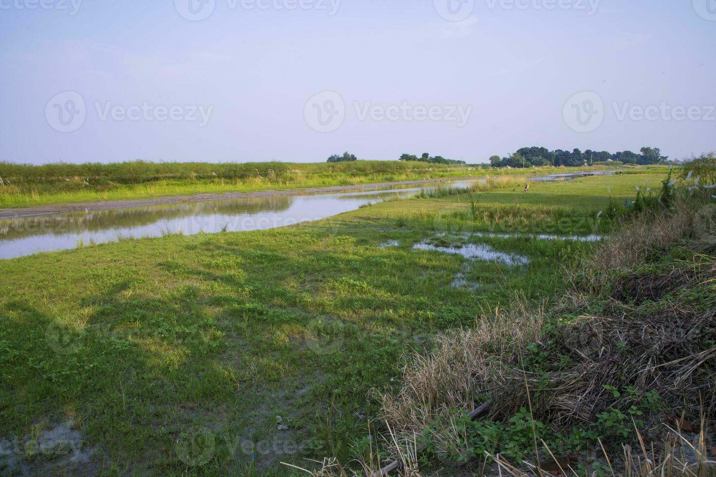 verde Campos, prados, e azul céu panorama Visão com Padma rio canal dentro Bangladesh foto