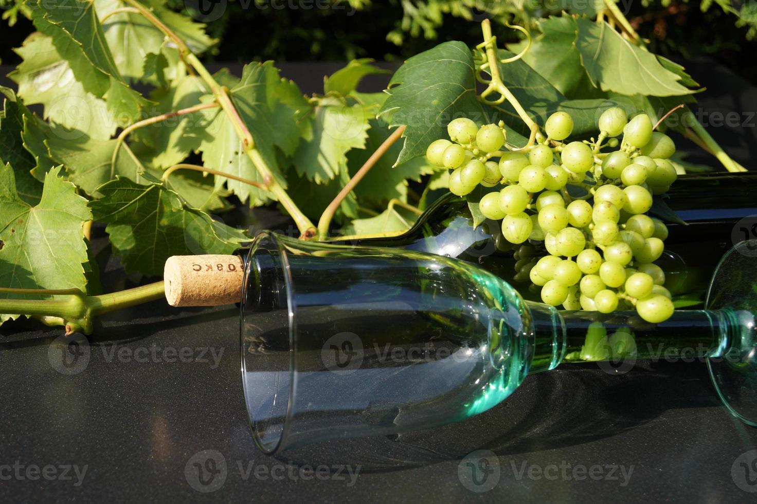 uvas e folhas de vinho branco foto