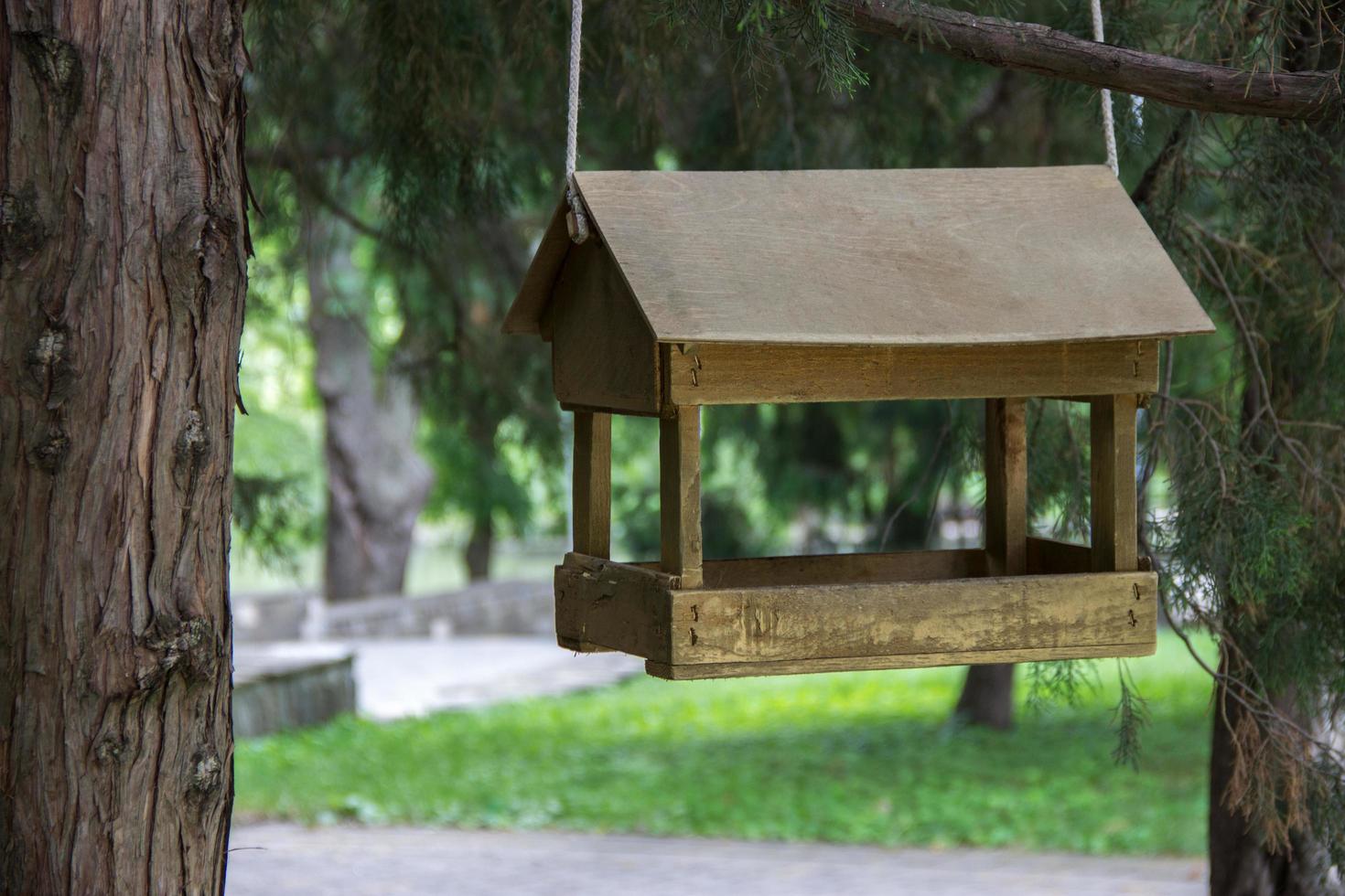 alimentadores para pássaros no parque da cidade foto