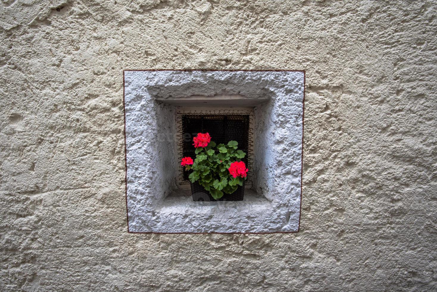 vaso de gerânios em uma pequena janela quadrada em san martino di castrozza, trento, itália foto