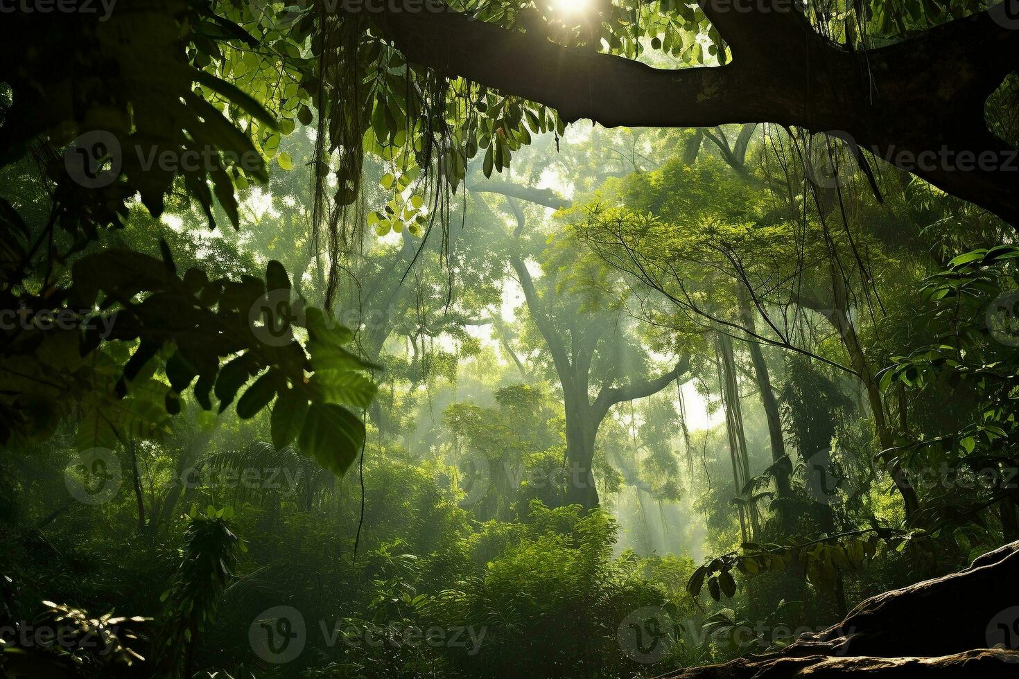 exuberante tropical verde floresta com diverso flora. alta majestoso árvores e pequeno arbustos e samambaias. a do sol raios pausa através a denso coroa do árvores ai generativo foto