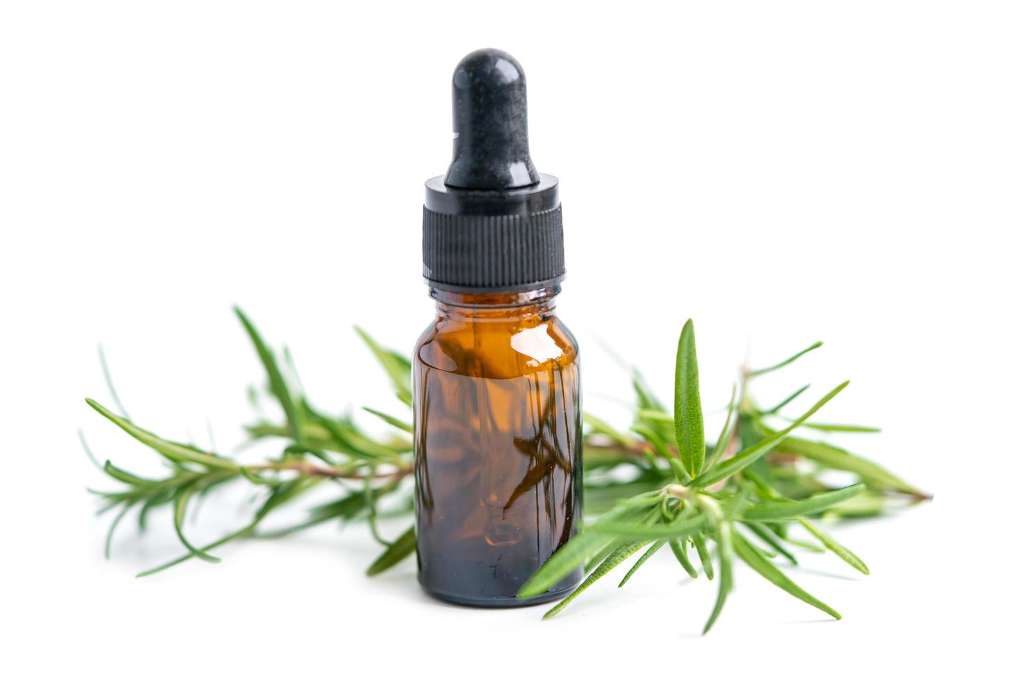 óleo essencial de alecrim aromático erva de cacho fresco foto