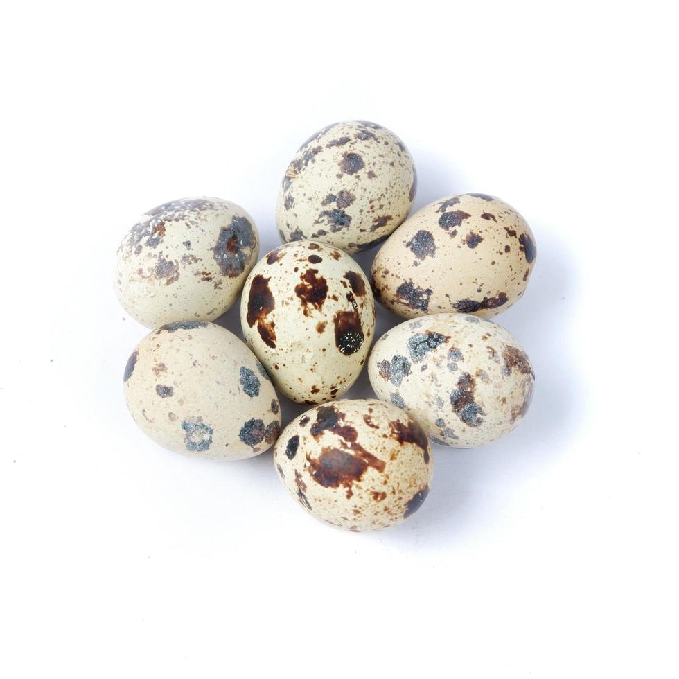 ovos de codorna isolados em um fundo branco foto