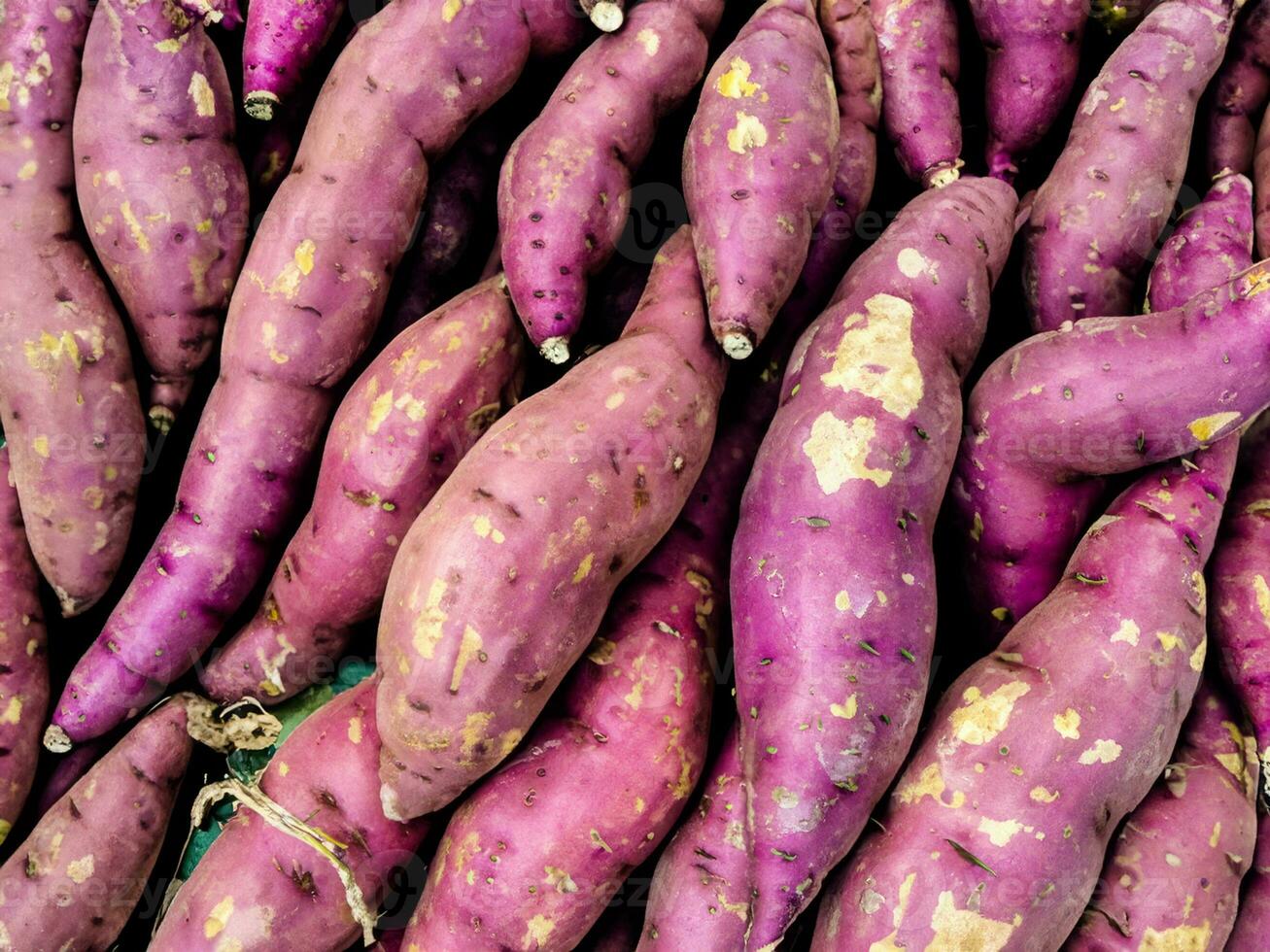 fresco roxa doce batatas fundo foto