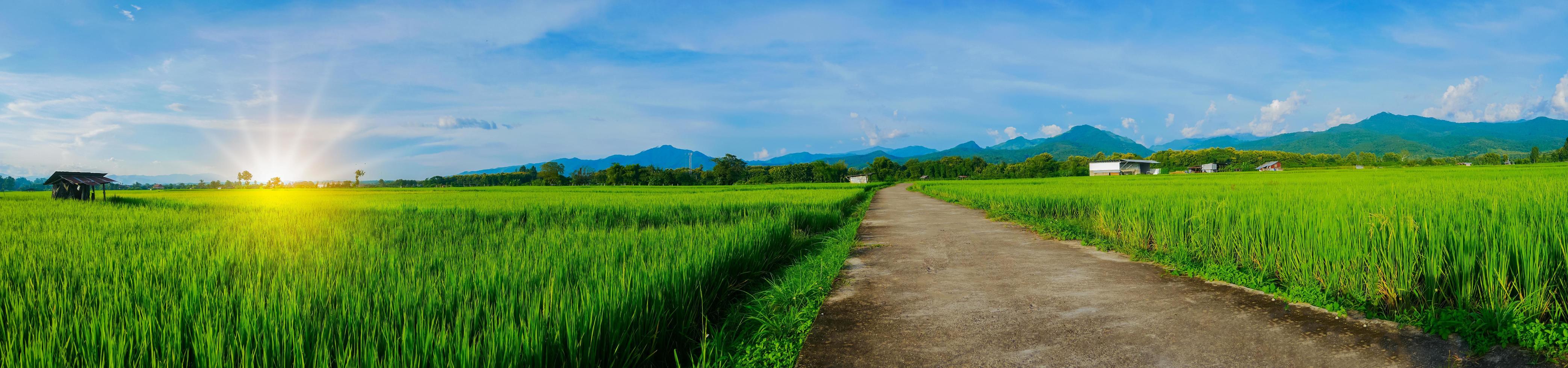 paisagem panorâmica de campos de arroz e belo pôr do sol foto