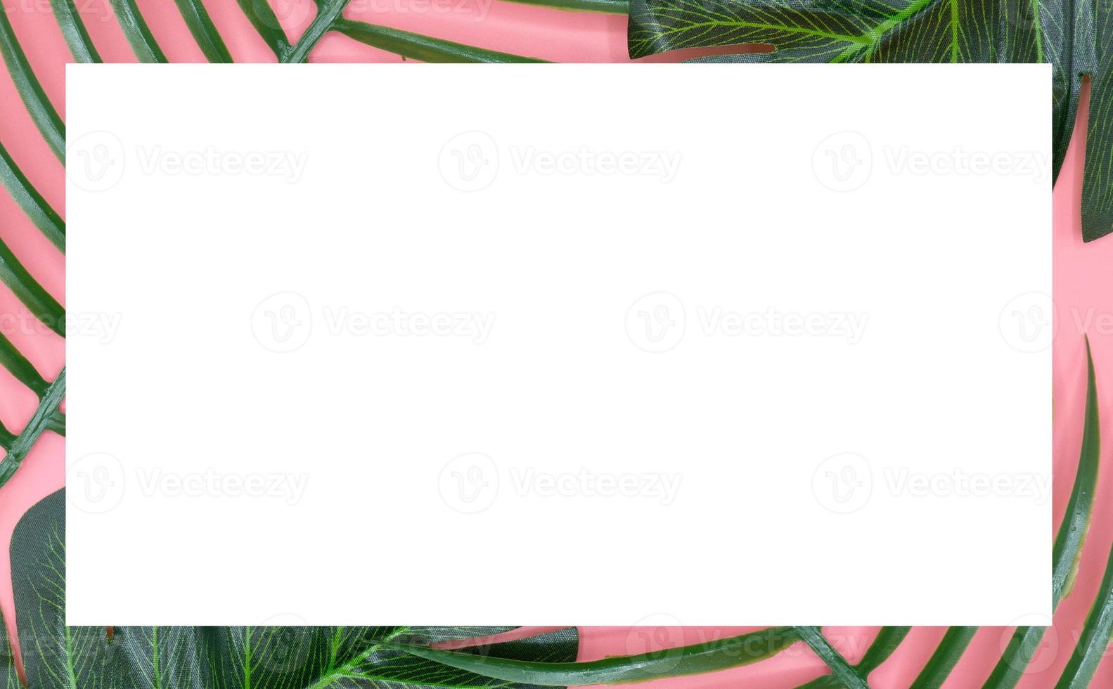 espaço em branco em folhas verdes e fundo rosa foto