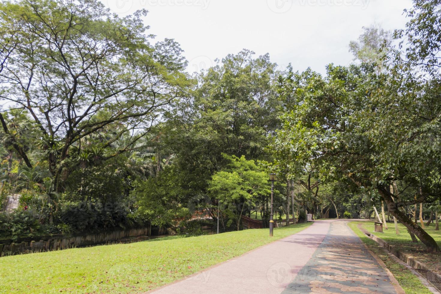 bela trilha para caminhada nos jardins botânicos perdana kuala lumpur. foto