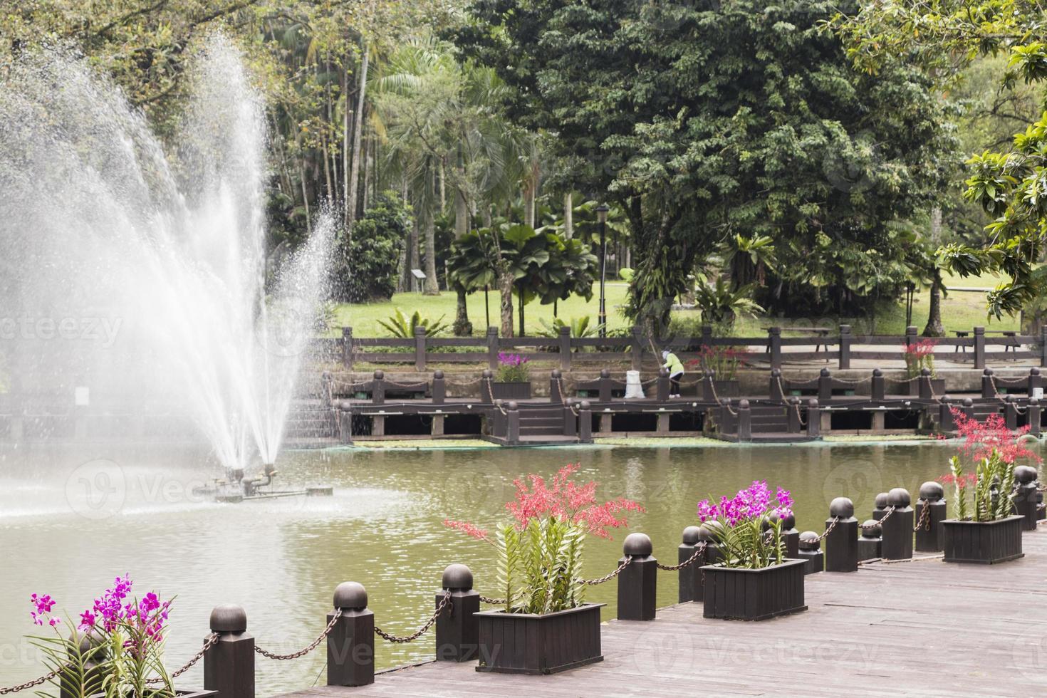 bela fonte no parque do jardim botânico perdana. foto