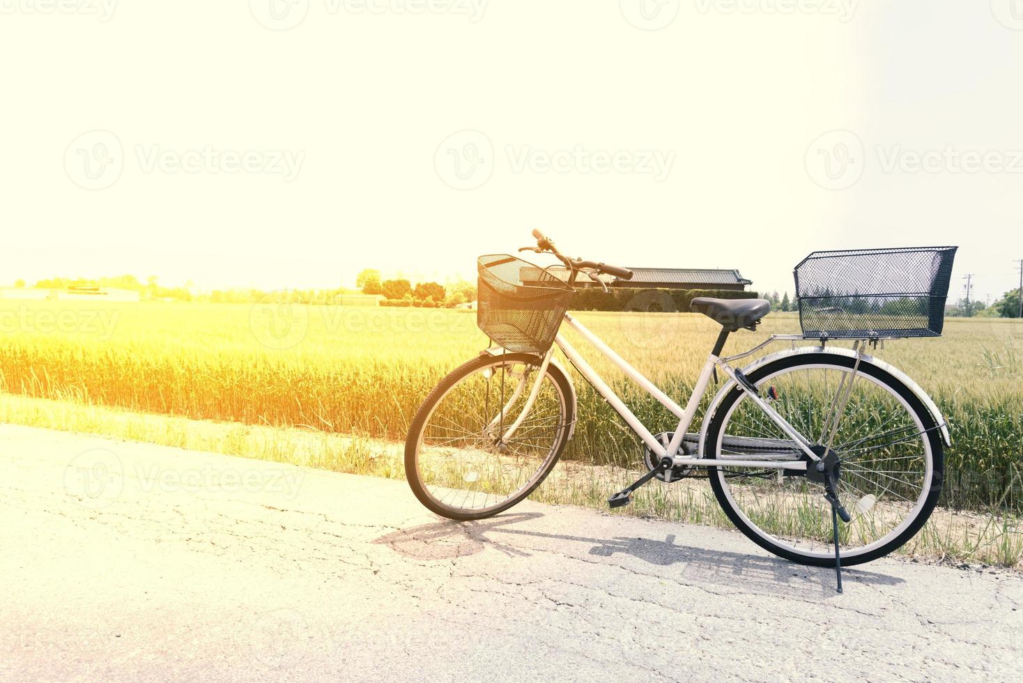 bicicleta na estrada e campo de arroz foto