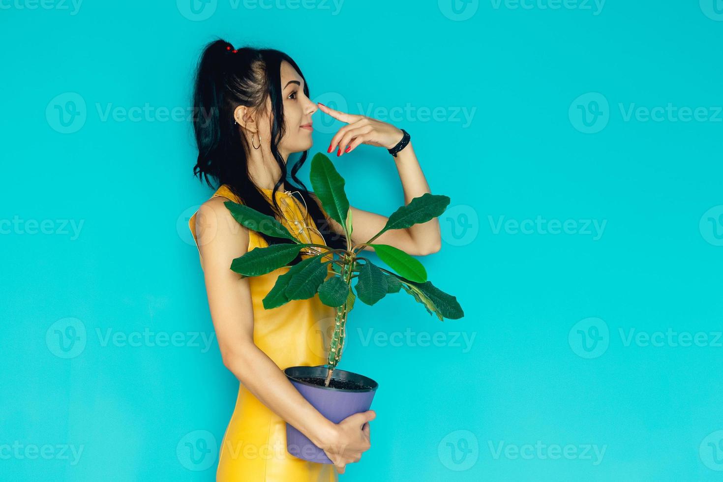 linda mulher segurando uma flor em um vaso sobre um fundo azul foto