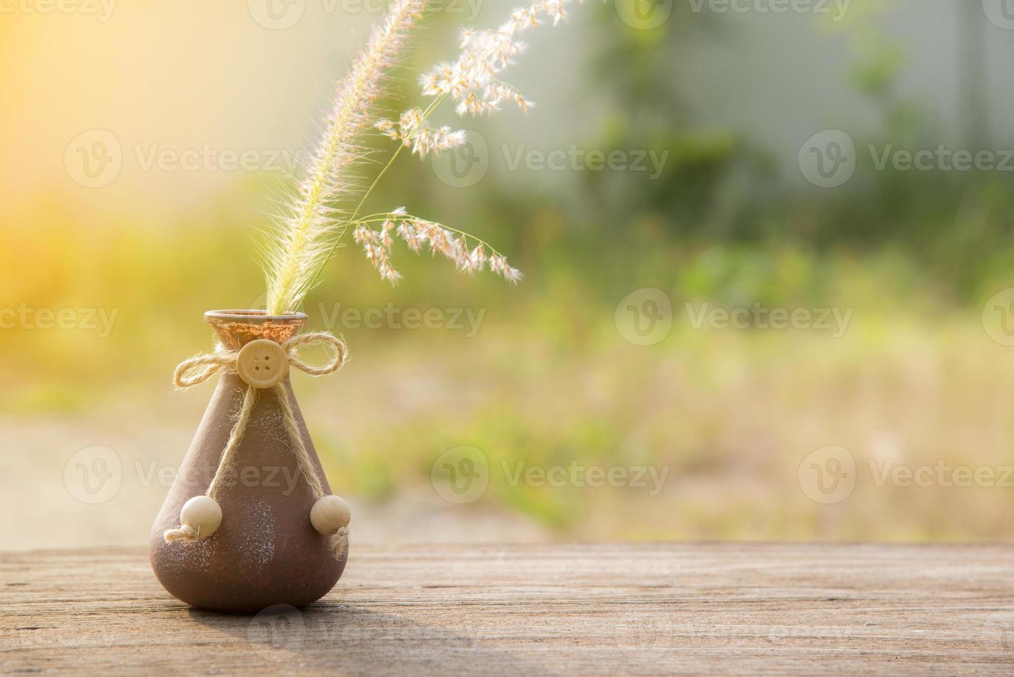 flor de grama no vaso, foco seletivo foto