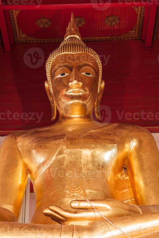 a dourado Buda estátua dentro tailandês têmpora, Ayutthaya província Tailândia foto