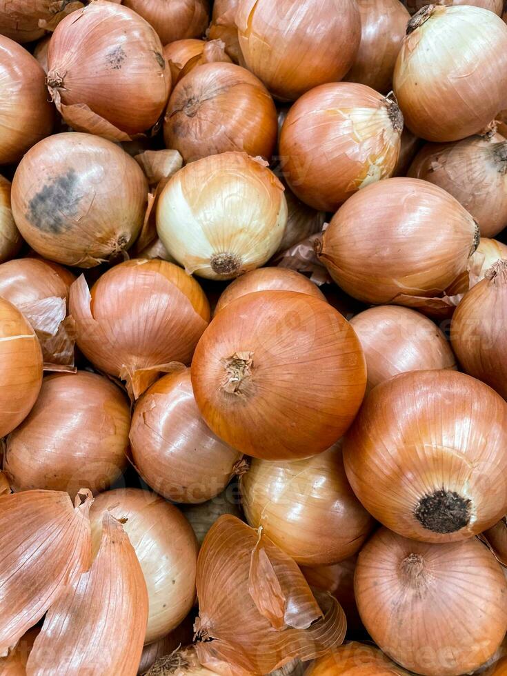 fresco cebolas em a mercado fechar acima foto. cebolas grande dourado em a contador mercado. foto