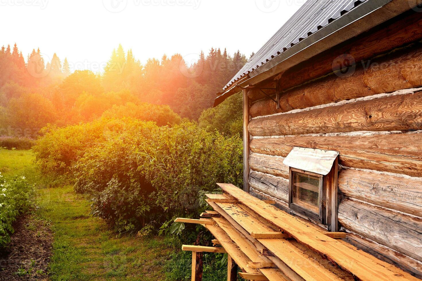frente Visão do de madeira casa dentro russo Vila dentro ensolarado verão dia foto