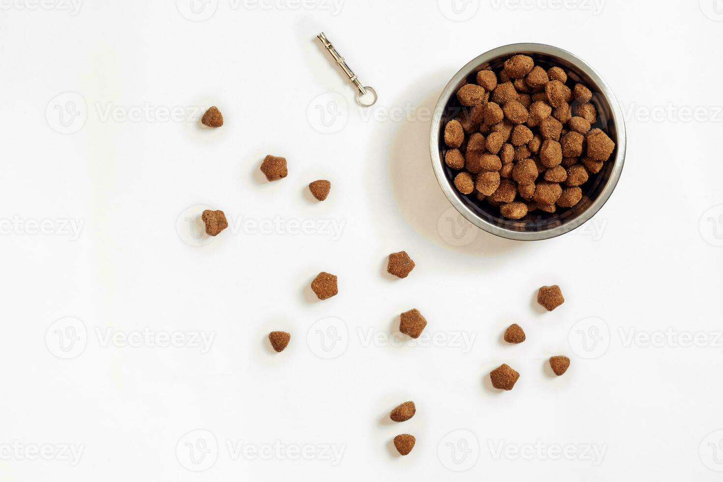 seco animal Comida dentro tigela em branco fundo topo Visão foto