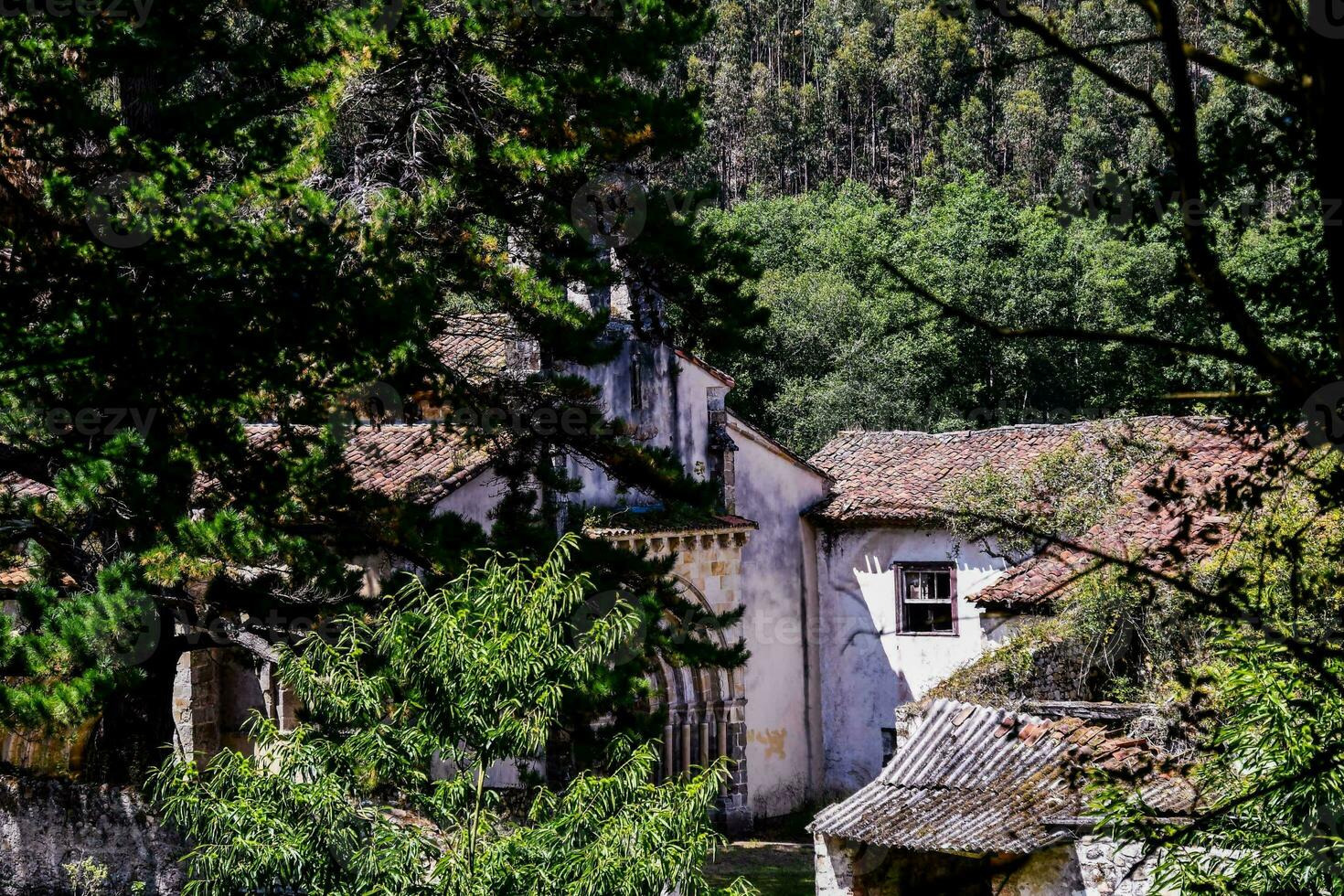 a velho casa dentro a madeiras com árvores e arbustos foto