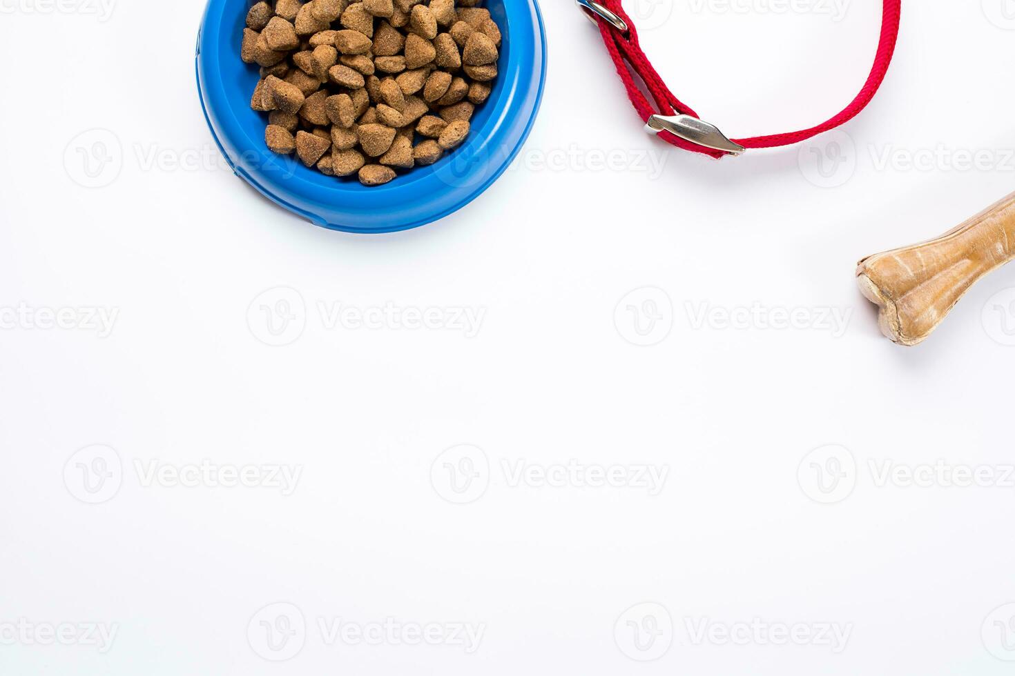 colarinho, azul tigela com alimentar, trela e delicadeza para cães. isolado em branco fundo foto