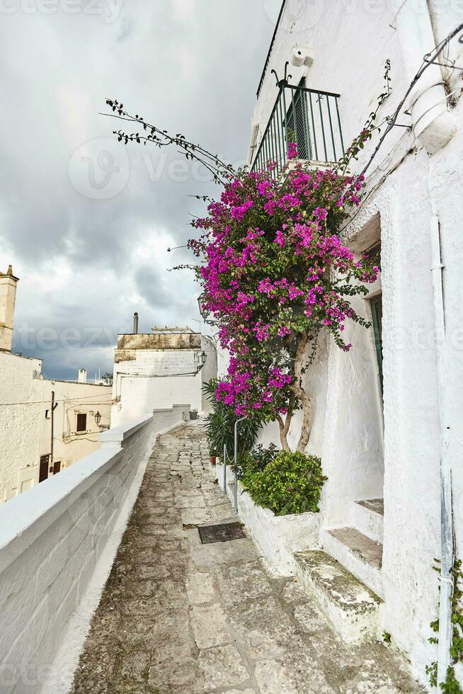 Maravilhoso arquitetura do a velho Cidade ostuni, Bari, Itália. foto