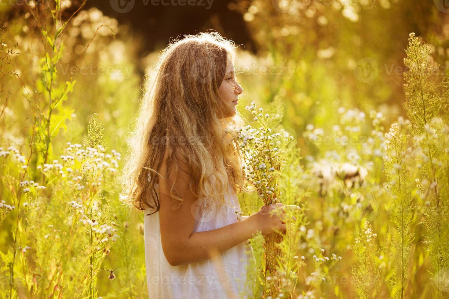 menina bonitinha entre flores silvestres brancas foto