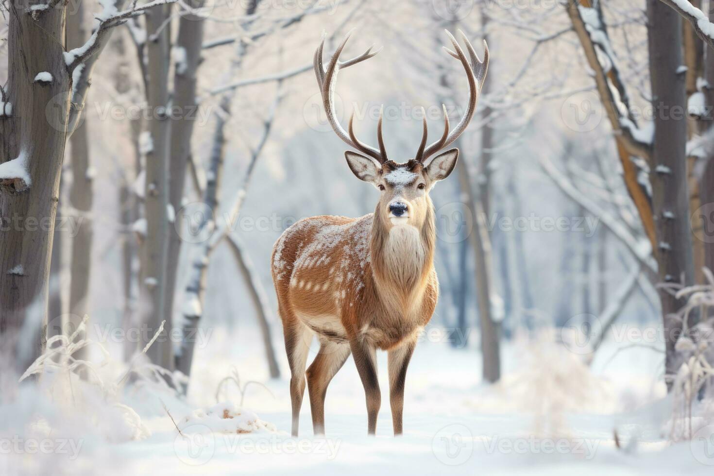 majestoso veado pastar pacificamente dentro uma sereno neve coberto inverno floresta foto