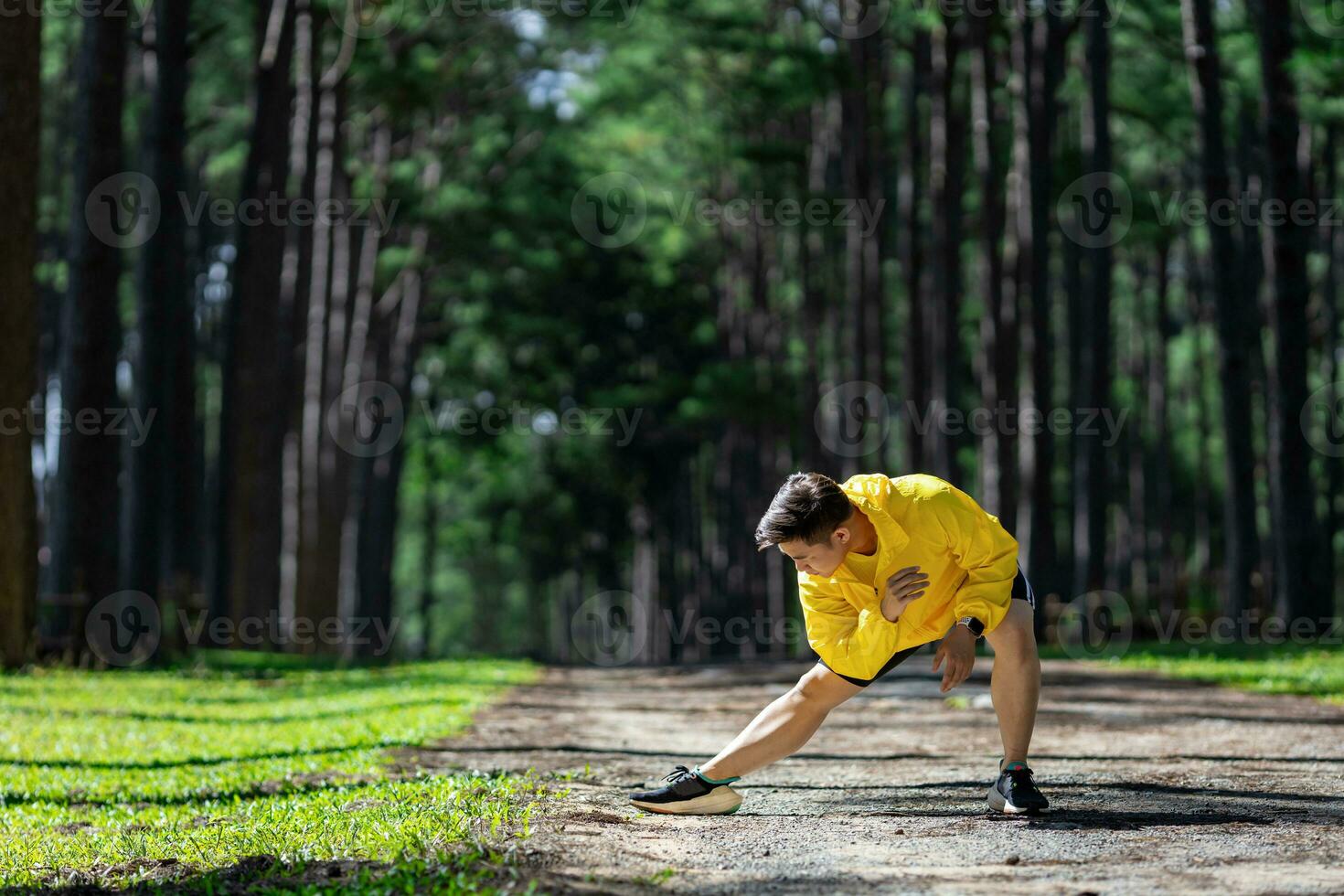 trilha corredor é alongamento para caloroso acima ao ar livre dentro a pinho floresta sujeira estrada para exercício e exercite-se Atividades Treinamento para alcançar saudável estilo de vida e ginástica foto