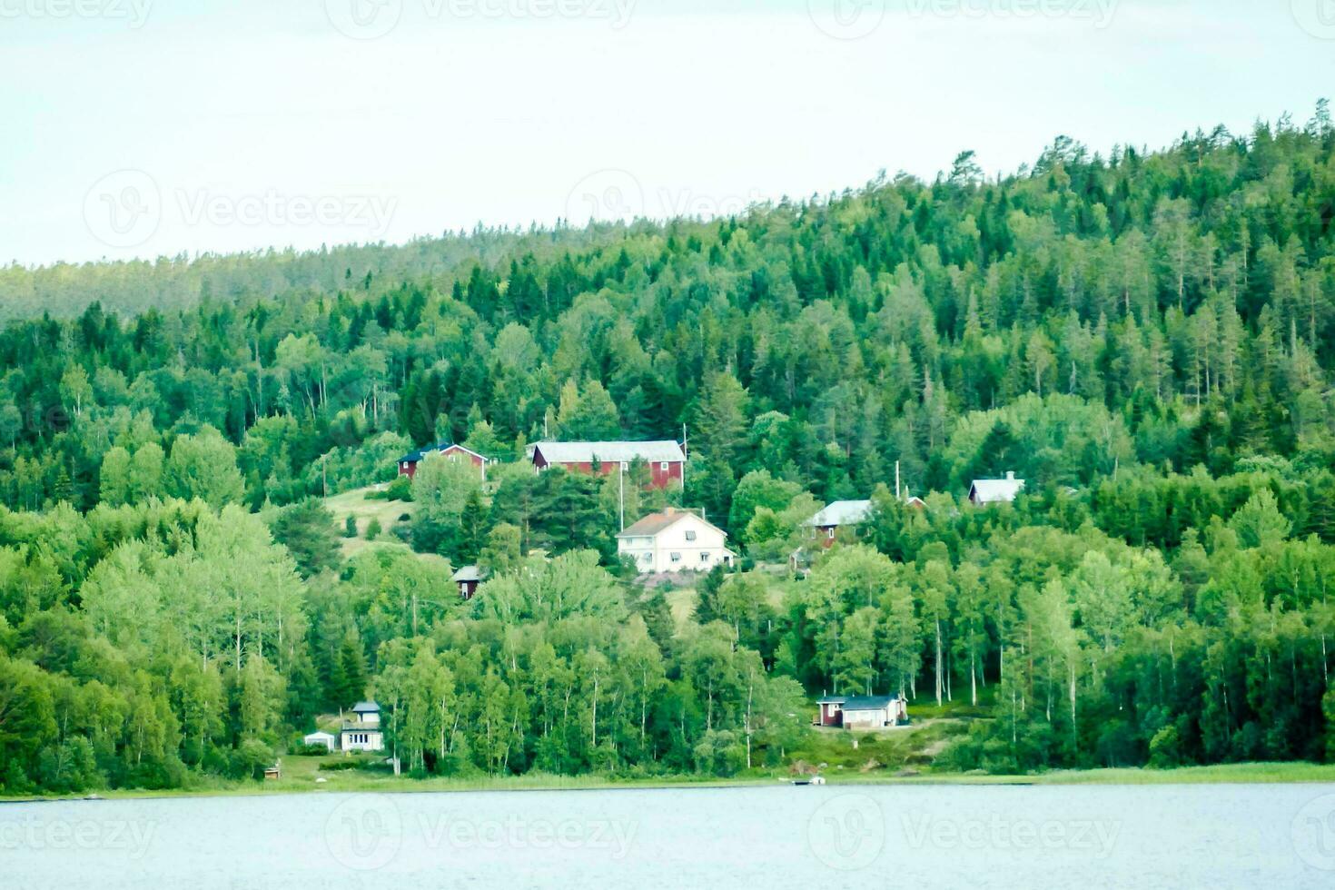 uma lago com uma casa em a costa e árvores dentro a fundo foto