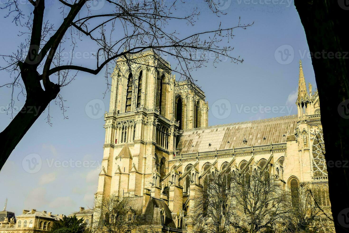 a catedral do notre dame dentro Paris foto