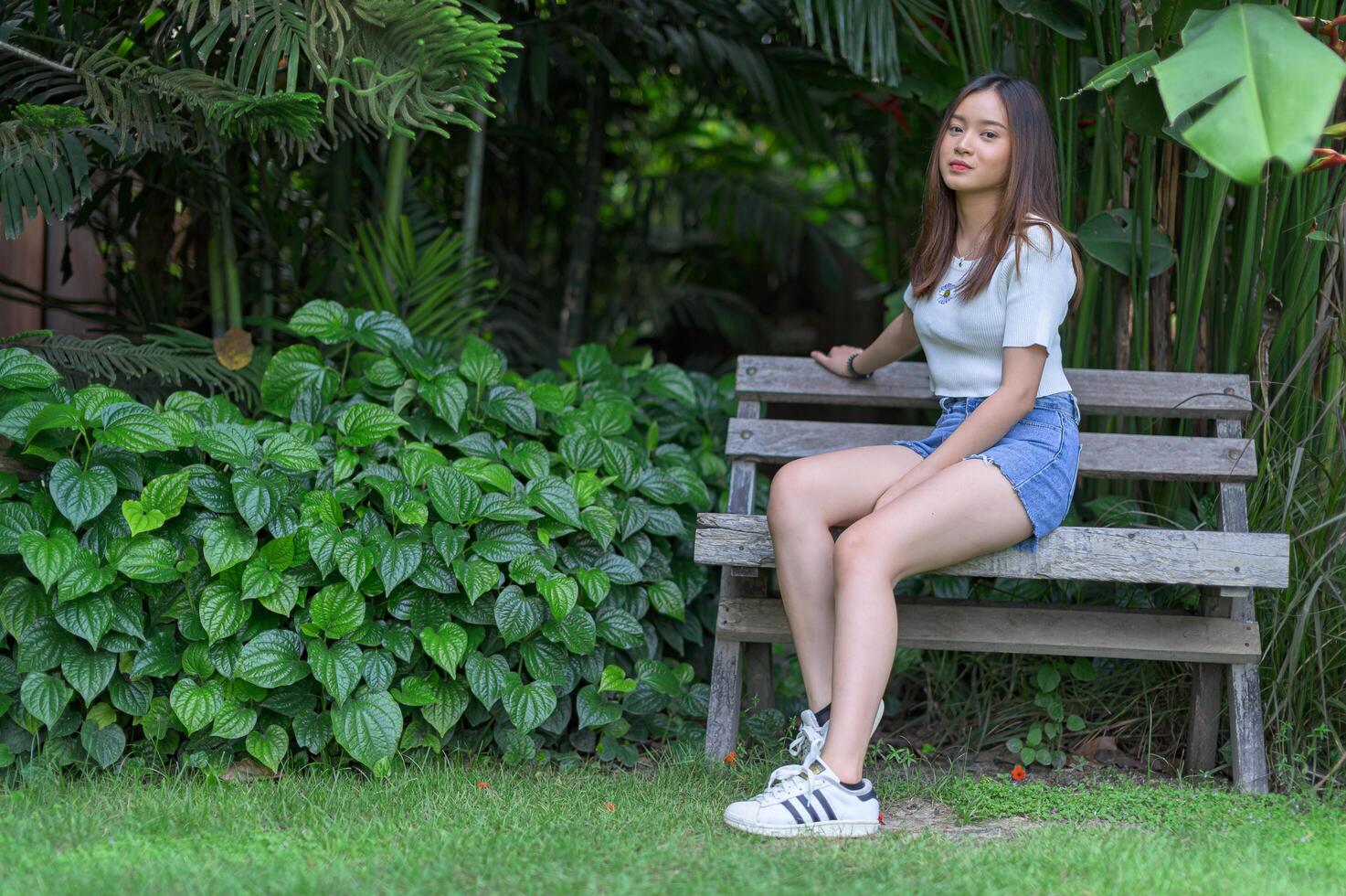 belas cadeiras femininas no parque foto