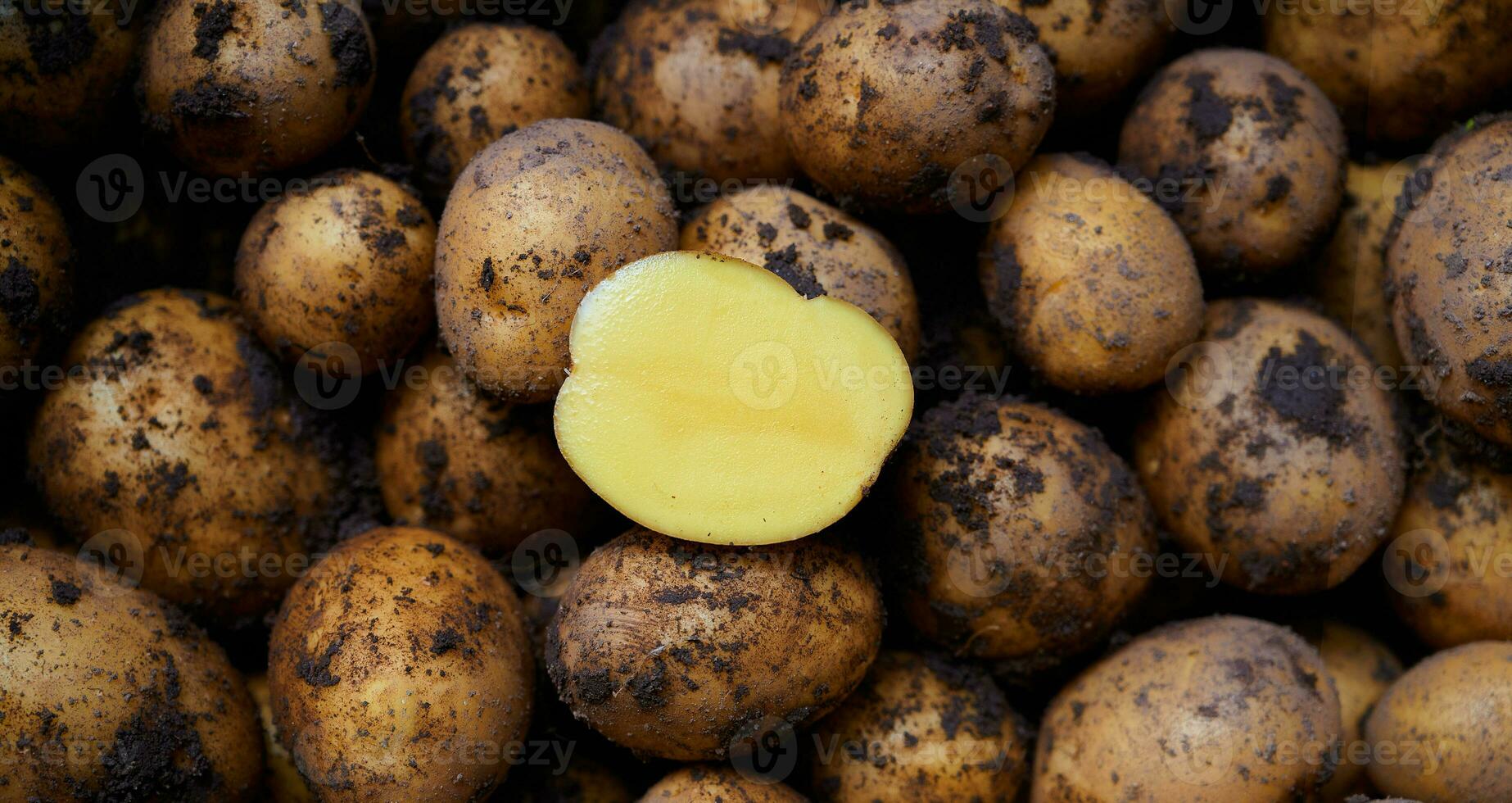 pilha do sujo cru com casca batatas . sem adornos batata fundo. a cortar metade do 1 batata em topo. foto