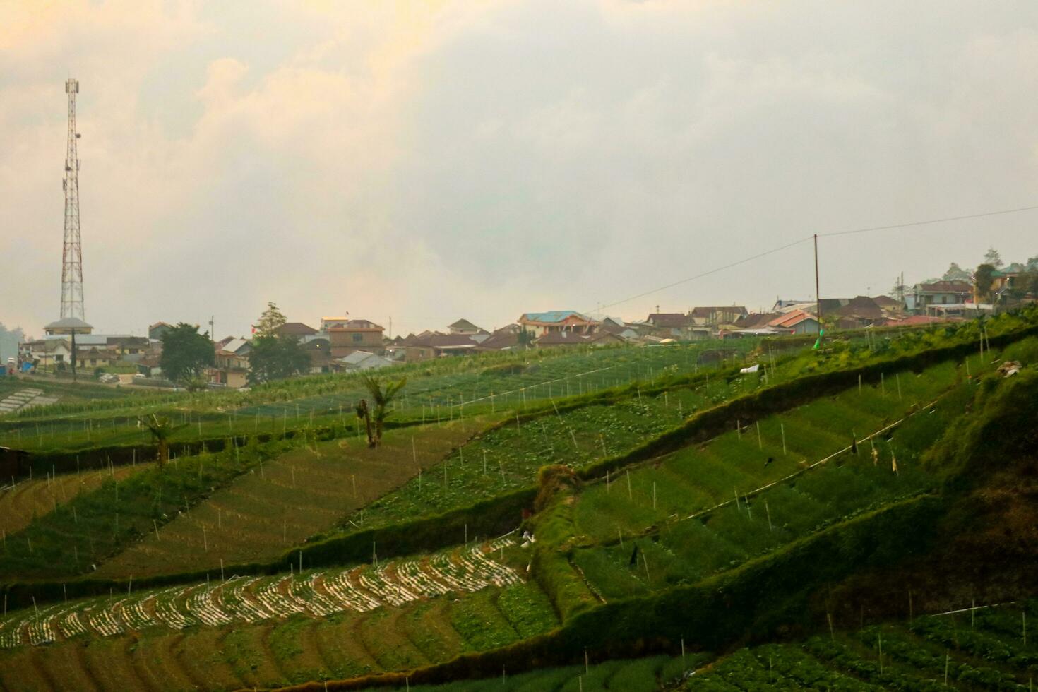 arroz Campos dentro a montanhas com uma terasir sistema foto