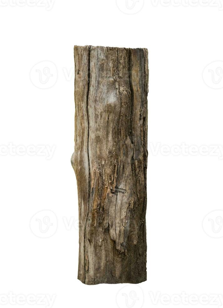 Castanho madeira ficar de pé em branco fundo foto