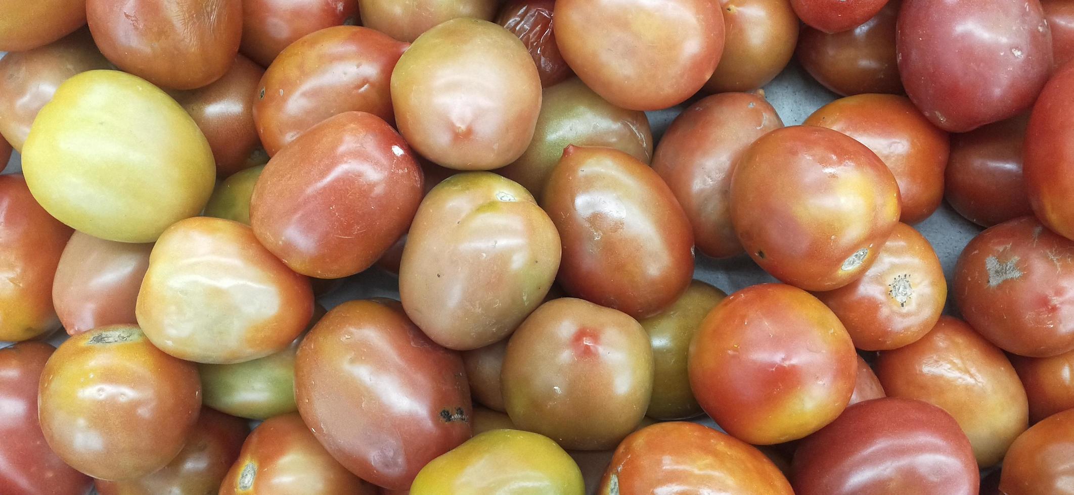 tomates vermelhos frescos em um fundo branco foto