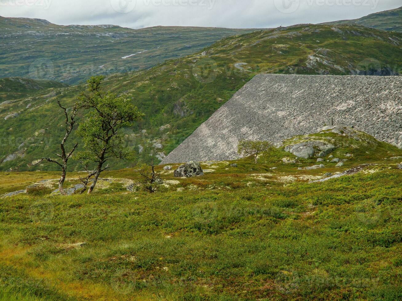 verão Tempo dentro Noruega foto