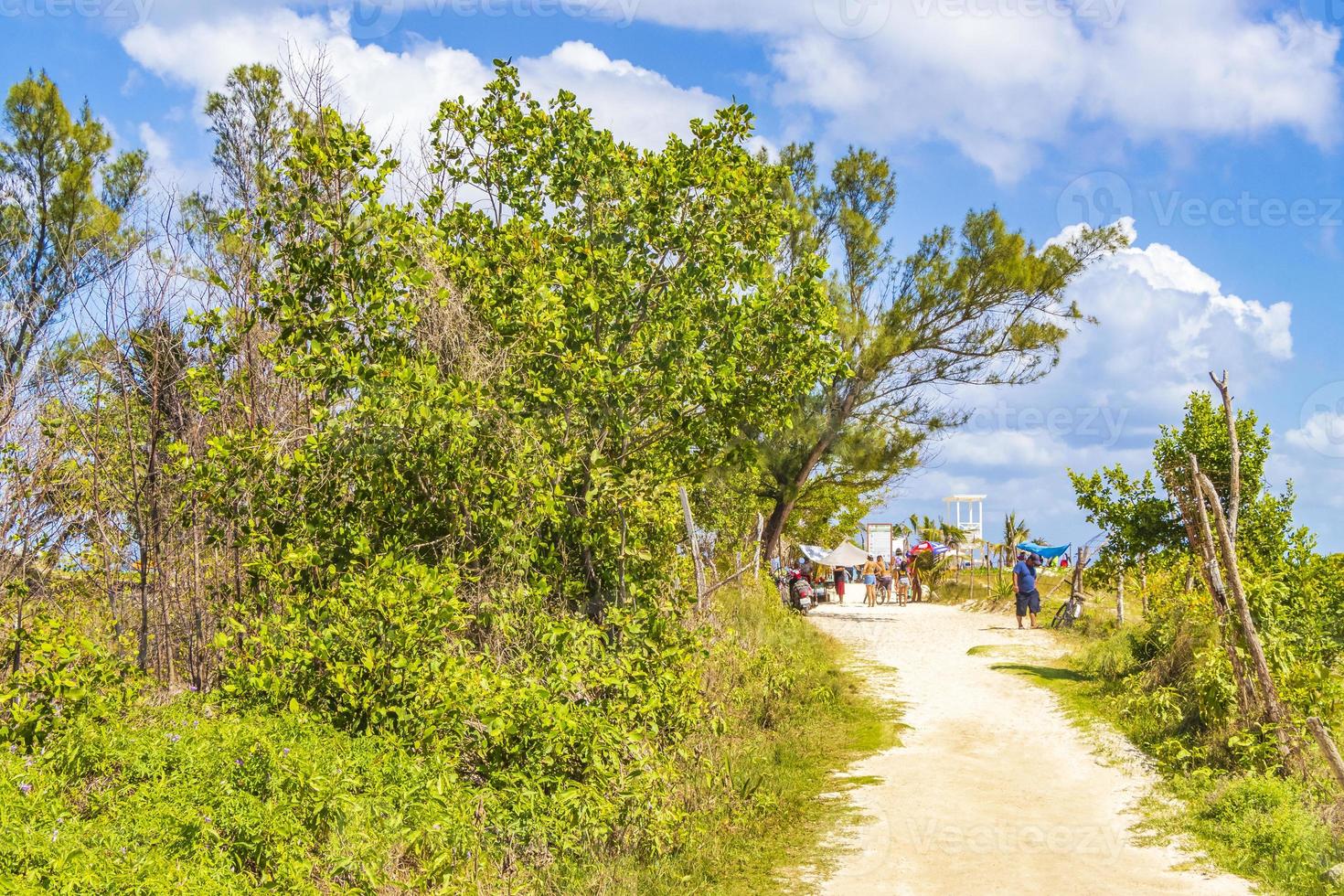 praia natural tropical mexicana 88 entrada na playa del carmen, méxico foto